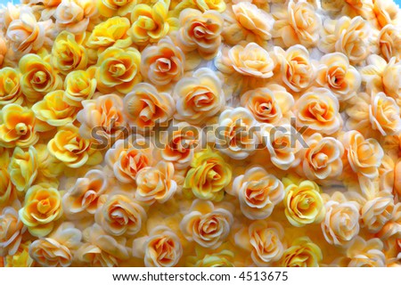 Bunch of multi-colored roses packed tightly together