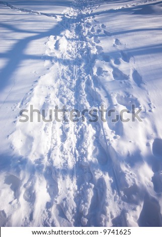 A winding path through deep snow