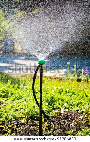 Garden sprinkler on a sunny summer day during watering the green lawn in garden