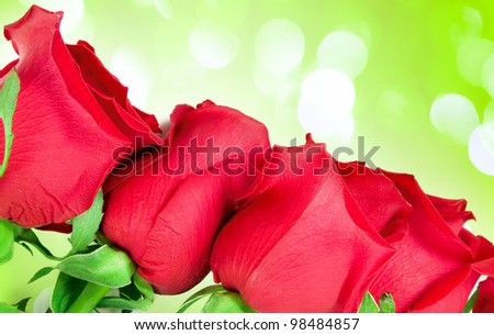 Beautiful Roses Border  with green lights in the background