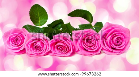 bouquet of beautiful pink roses  with pink lights in the background