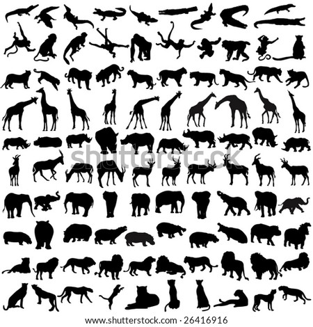wild animals pictures with names. african animals related