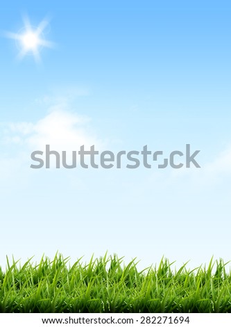 bright sunlight blue sky white clouds with green grass. Nature, natural, summer, landscape, meadow, lawn, plant, freedom, freshness idea background template