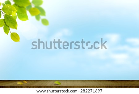 green leaves of tree over blue sky white clouds. Fallen leaf on wooden floor. Autumn, fresh, freshness, nature, natural idea background concept template