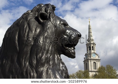 Lion Statue in Trafalgar Square, looking at St Martins in the Field, London, England