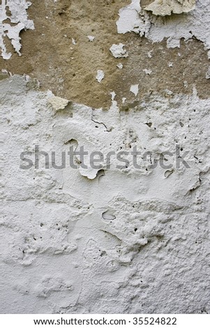 Wall Peeling Paint