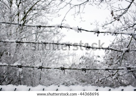 Snow covered barb wire fence