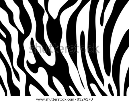 pictures of zebras cartoon. stock vector : Vector zebra