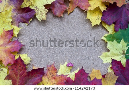 Frame of yellow maple leaves
