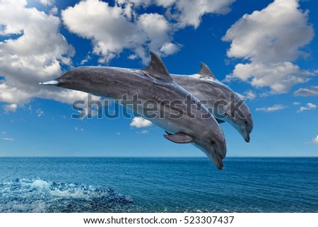 Dolphins jumping in formation on the sea
