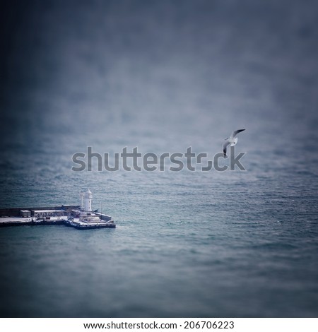 Lighthouse in a bay of Yalta, Crimea. Winter seascape with a seagull. Grain and tilt-shift effect added.