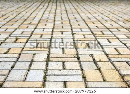 Fragment of road paved a yellow brick