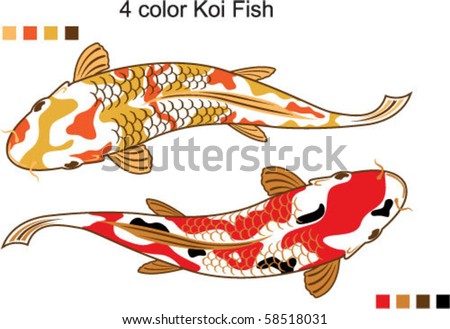 stock vector 4 color Koi Fish Vector