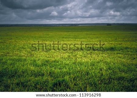 Background field with green grass vignette on plains