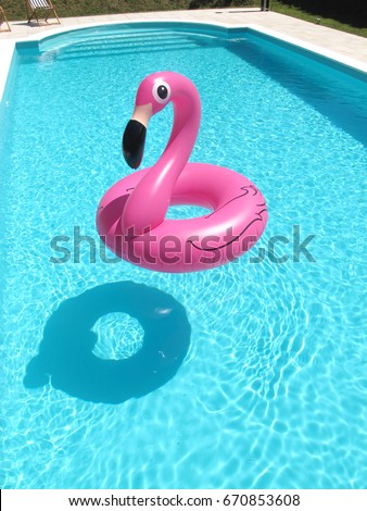PINK FLAMINGO IN A SWIMMING POOL