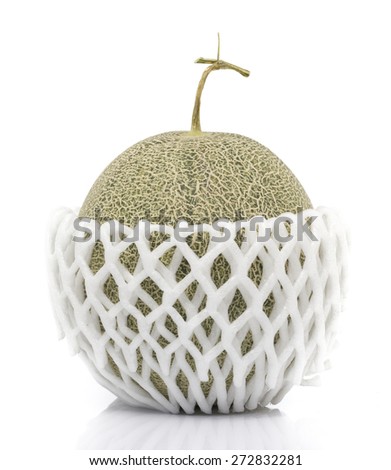 Japanese Melon in Foam Packaging on White background