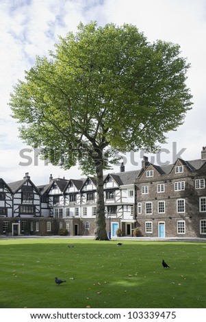 Tudor Style Building and tree in London, UK; Tudor Style Building with a big tree in the middle and some ravens