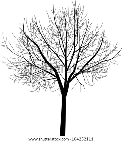 Bare Tree Outline