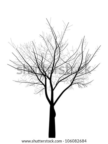 Illustration With Bare Tree Isolated On White Background - 106082684