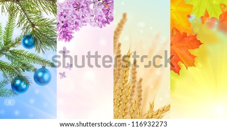 set of four seasons vertical nature strips