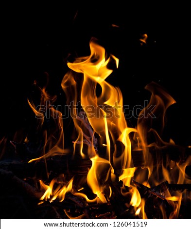 bright campfire isolated on black background