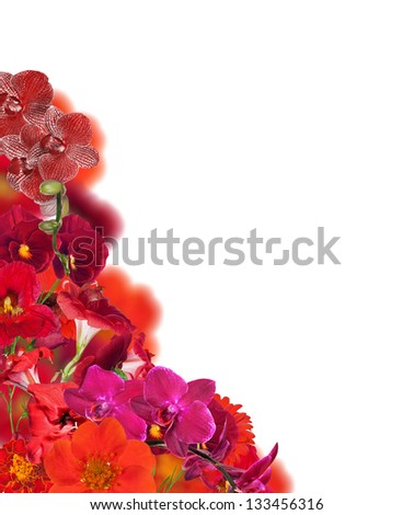 red color flowers corner isolated on white background