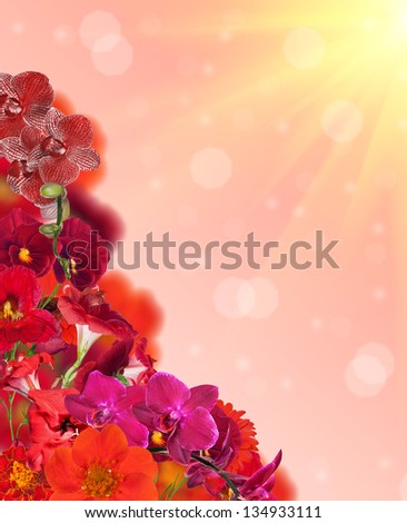 red color flowers corner on light background