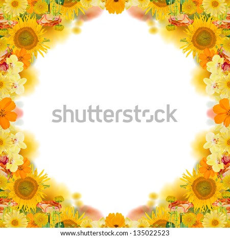composition with yellow flowers frame isolated on white background