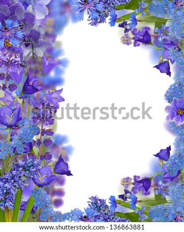 floral frame from blue flowers isolated on white background