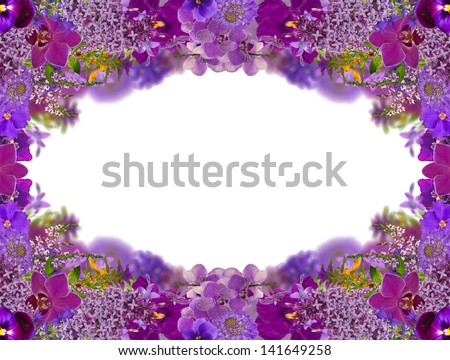 lilac color frame from different flowers isolated on white background