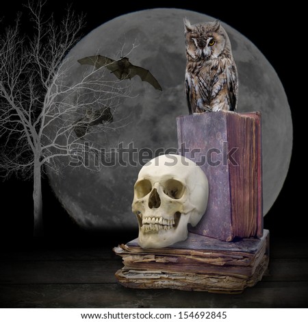 skull and two old books at moon background
