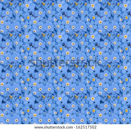 seamless background with blue forget-me-not flowers
