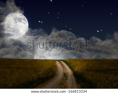 country road in gold wheat field under dark sky with moon