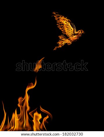 flame dove flying from yellow fire isolated on black background