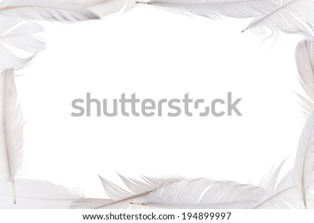 light feathers frame isolated on white background