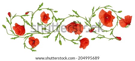 red poppy flower ornament strip isolated on white background