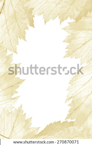light yellow leaf frame isolated on white background