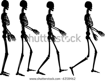 human skeleton drawing. of human skeleton