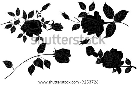 Black And White Rose Flower. BLACK AND WHITE ROSE FLOWERS