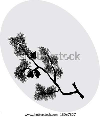 pine tree silhouette clip art. with pine tree branch