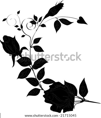 Black And White Rose Outline. with lack and white rose