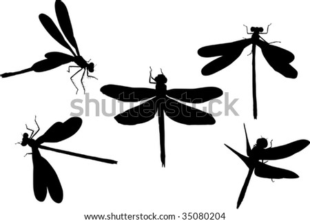 Clip Art Dragonflies. WHITE DRAGONFLY CLIPART