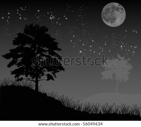 with trees under night sky