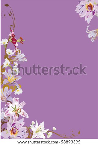 Lilac Lily