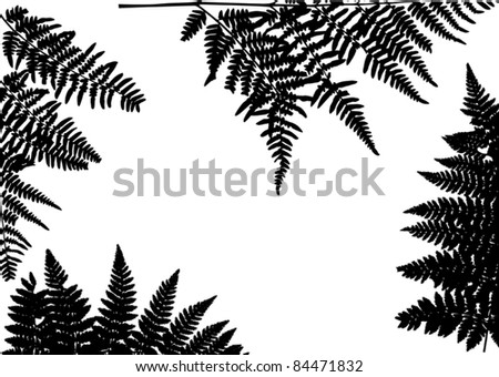 Illustration With Black Fern Frame - 84471832 : Shutterstock