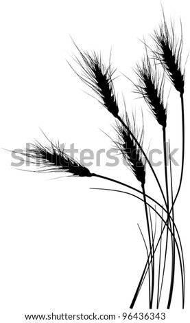 wheat silhouette vector