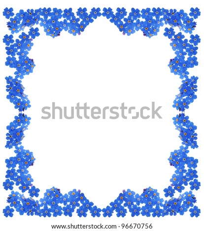forget-me-not flower frame isolated on white background