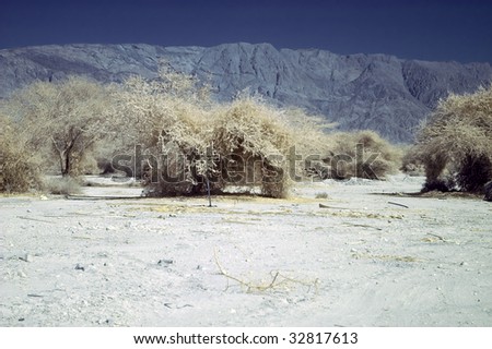 Infra red shallow plants