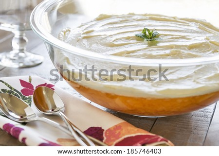 Old fashioned orange pineapple jell-o dessert with a creamy whipped topping.  Selective focus was used on this image.