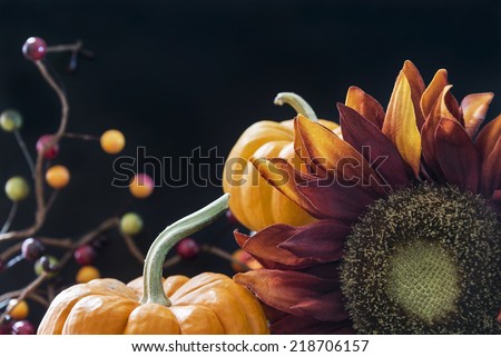 Autumn themed still life with a black background and room for copy space